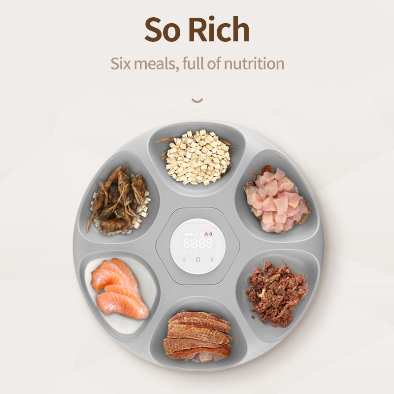 6-Meal Smart Automatic Feeder – Wi-Fi, App+ Cooling Ice Packs-Rojeco