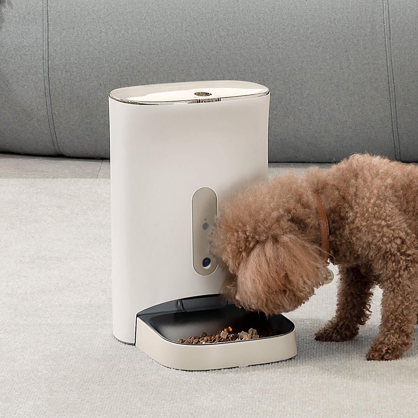 Automatic Pet Feeder with Camera, WIFI-Petwant