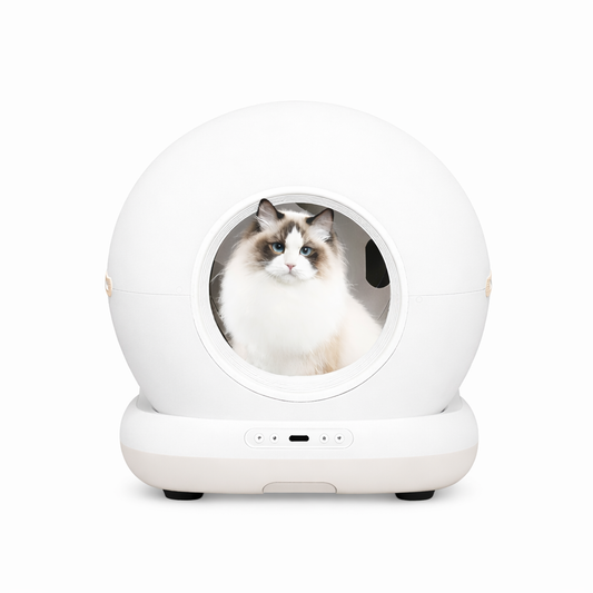 Are Cat Smart Toilets Dangerous?
