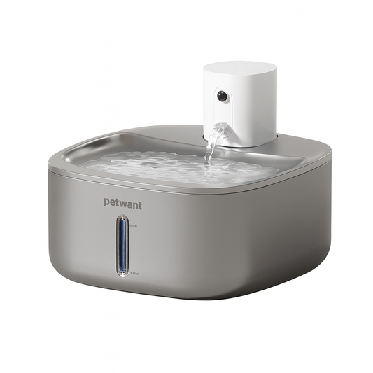 Stainless Steel Water Fountain with sensor
