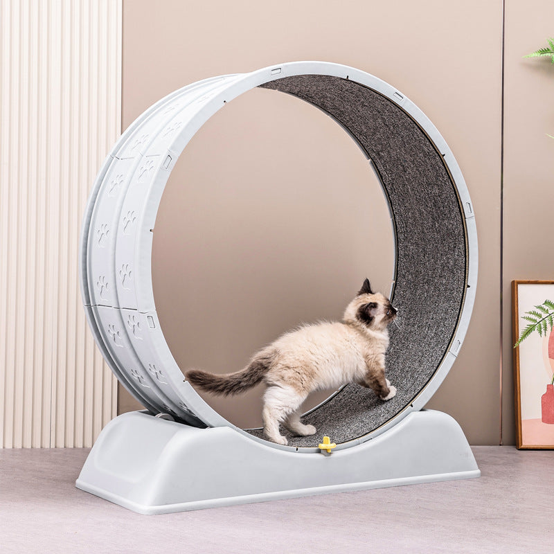 Cat Treadmill Running Wheel