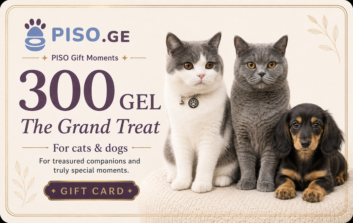 Piso.ge სასაჩუქრე ბარათი