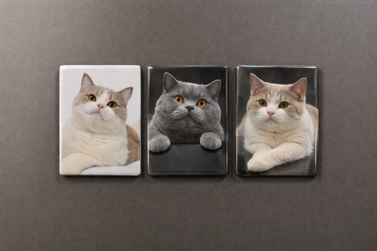 Custom Pet Photo Magnets