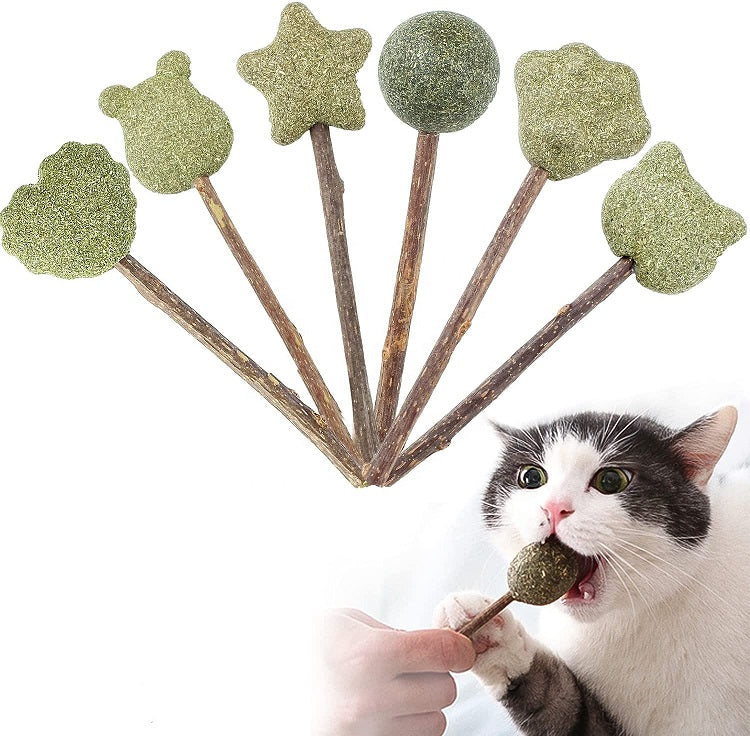 Natural Catnip Lollipop Toy for Cats