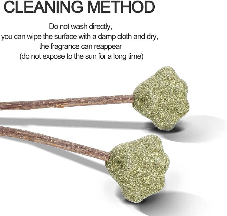 Natural Catnip Lollipop Toy for Cats