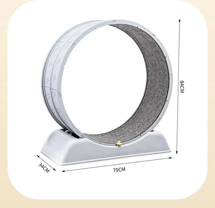 Cat Treadmill Running Wheel