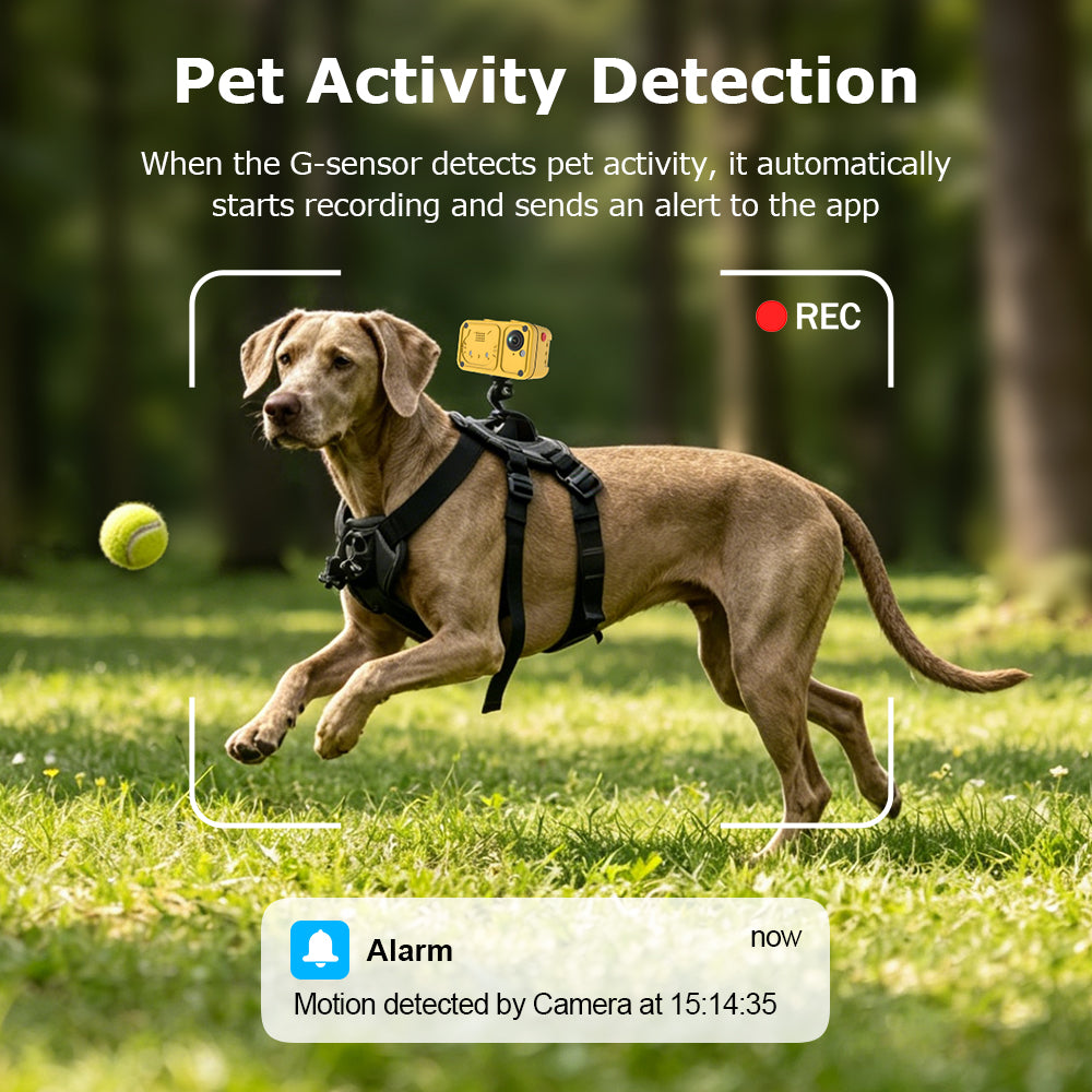 4G Smart Pet GPS Camera with Two-Way Audio