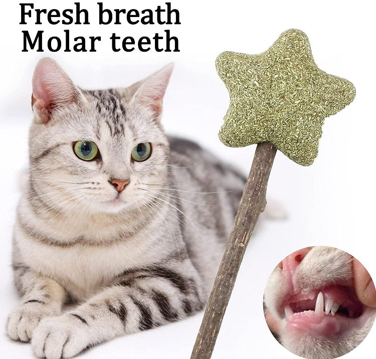 Natural Catnip Lollipop Toy for Cats