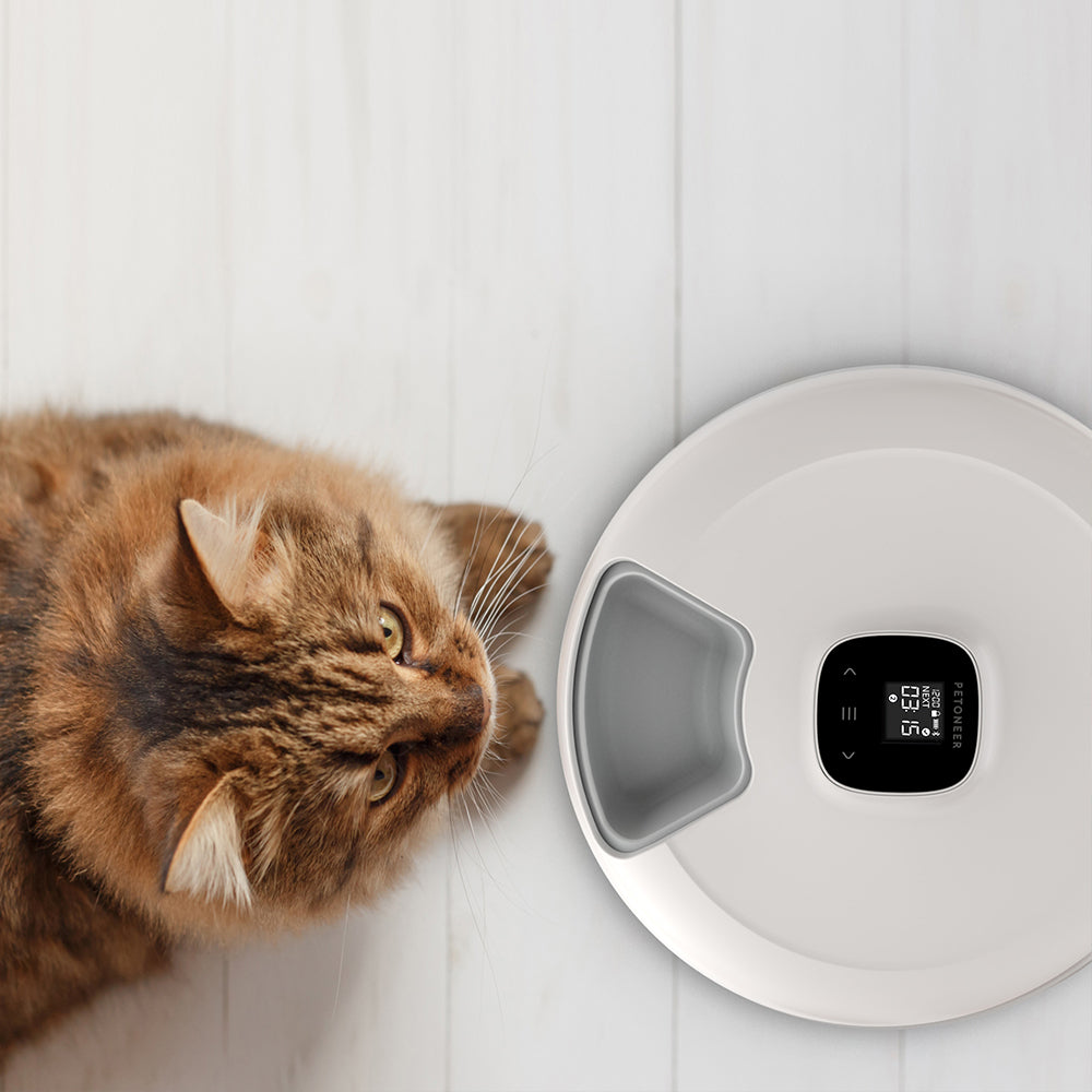 6-Meal Smart Automatic Feeder – Wi-Fi, App, dual power-Petoneer